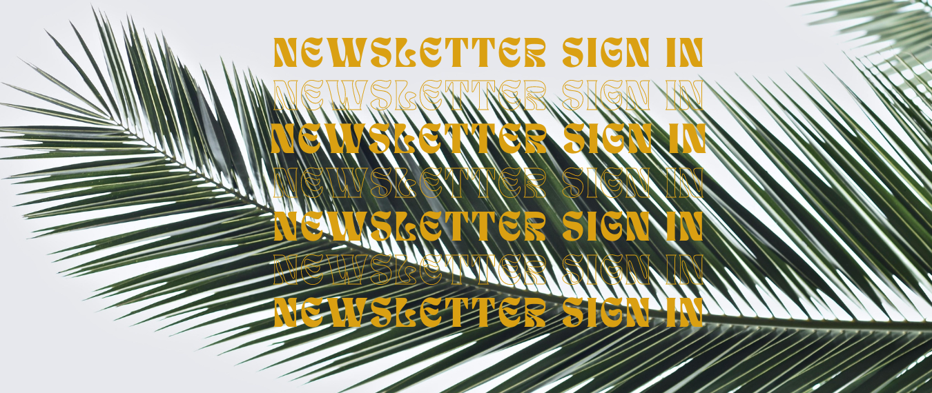 Newsletter Sign In Newsletter Sign In vor Palmenhintergund